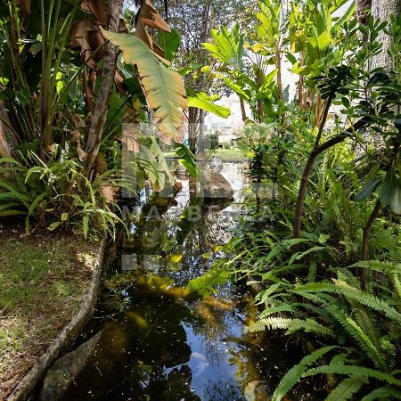 Amazing Apartment ,Center Of Marbella, Beach 338 Экстерьер фото