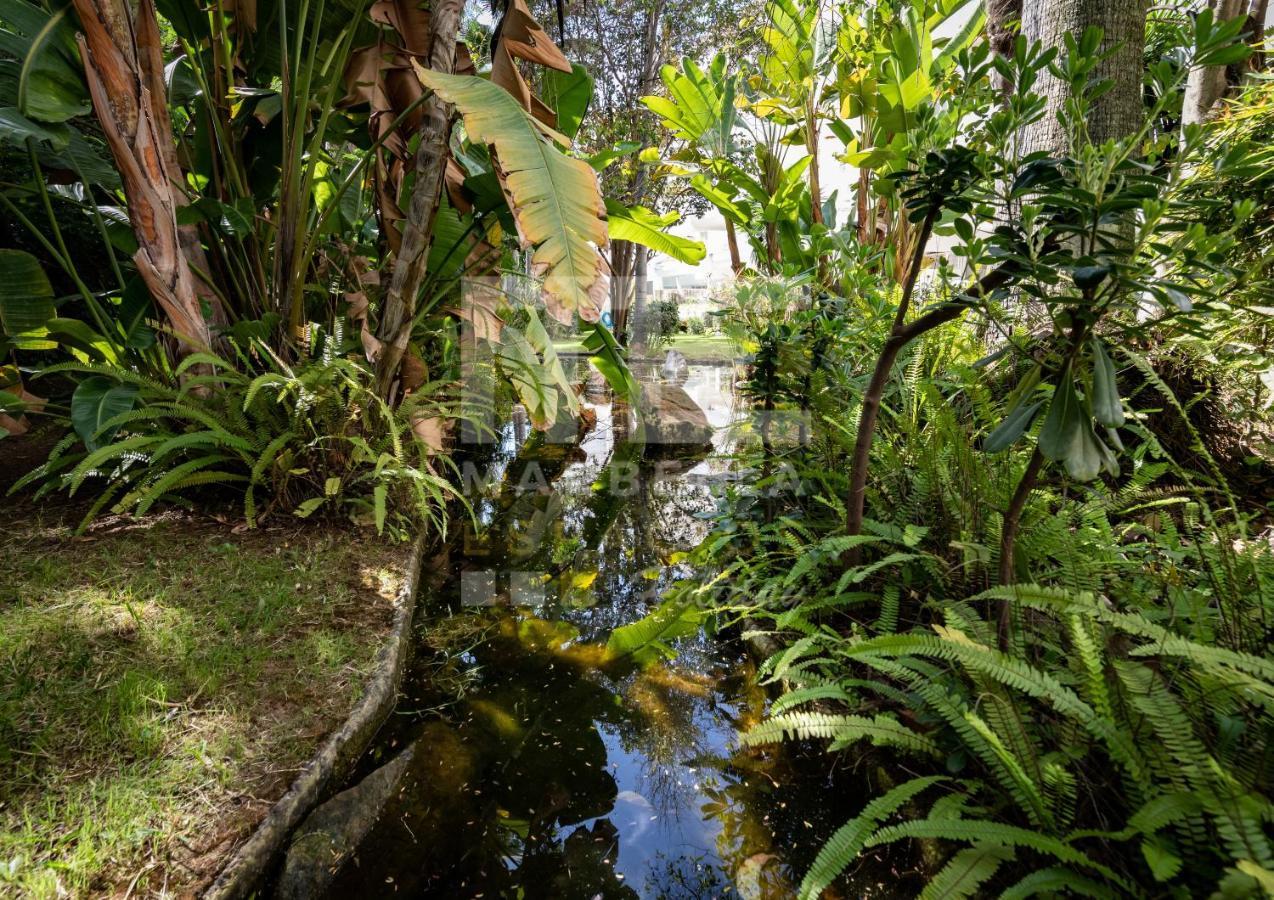 Amazing Apartment ,Center Of Marbella, Beach 338 Экстерьер фото